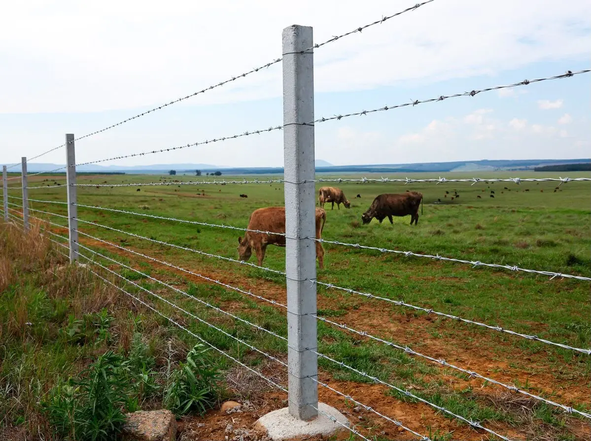 Barbed Wire Barbed Wire fencing