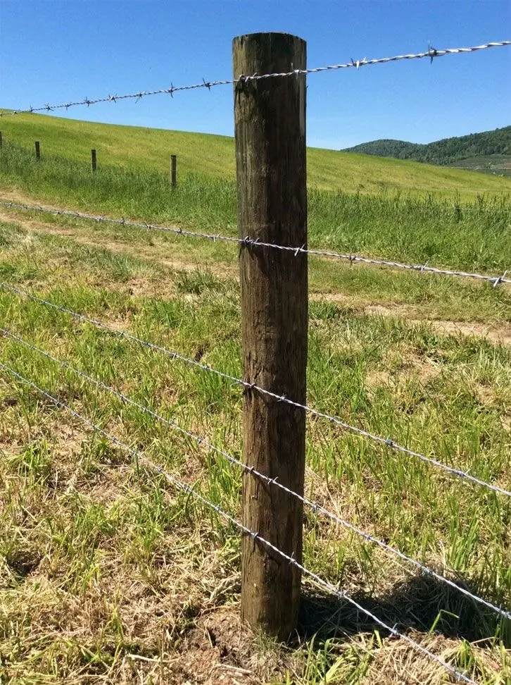 Barbed wire fencing